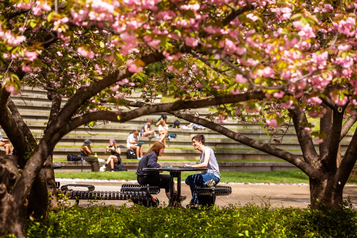 UT Knoxville Alumni tweet media