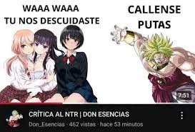 El v3nne tweet media