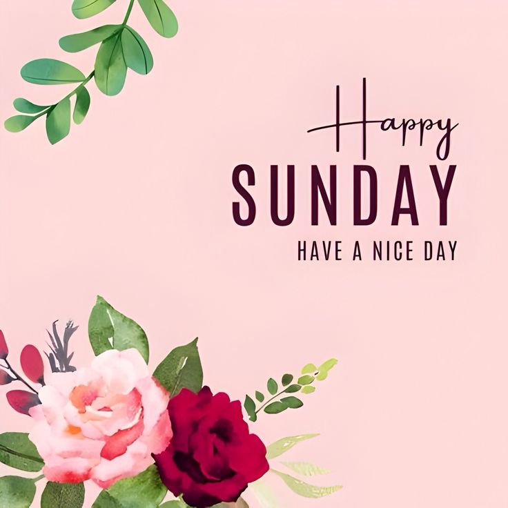 Flavia Miatto tweet media