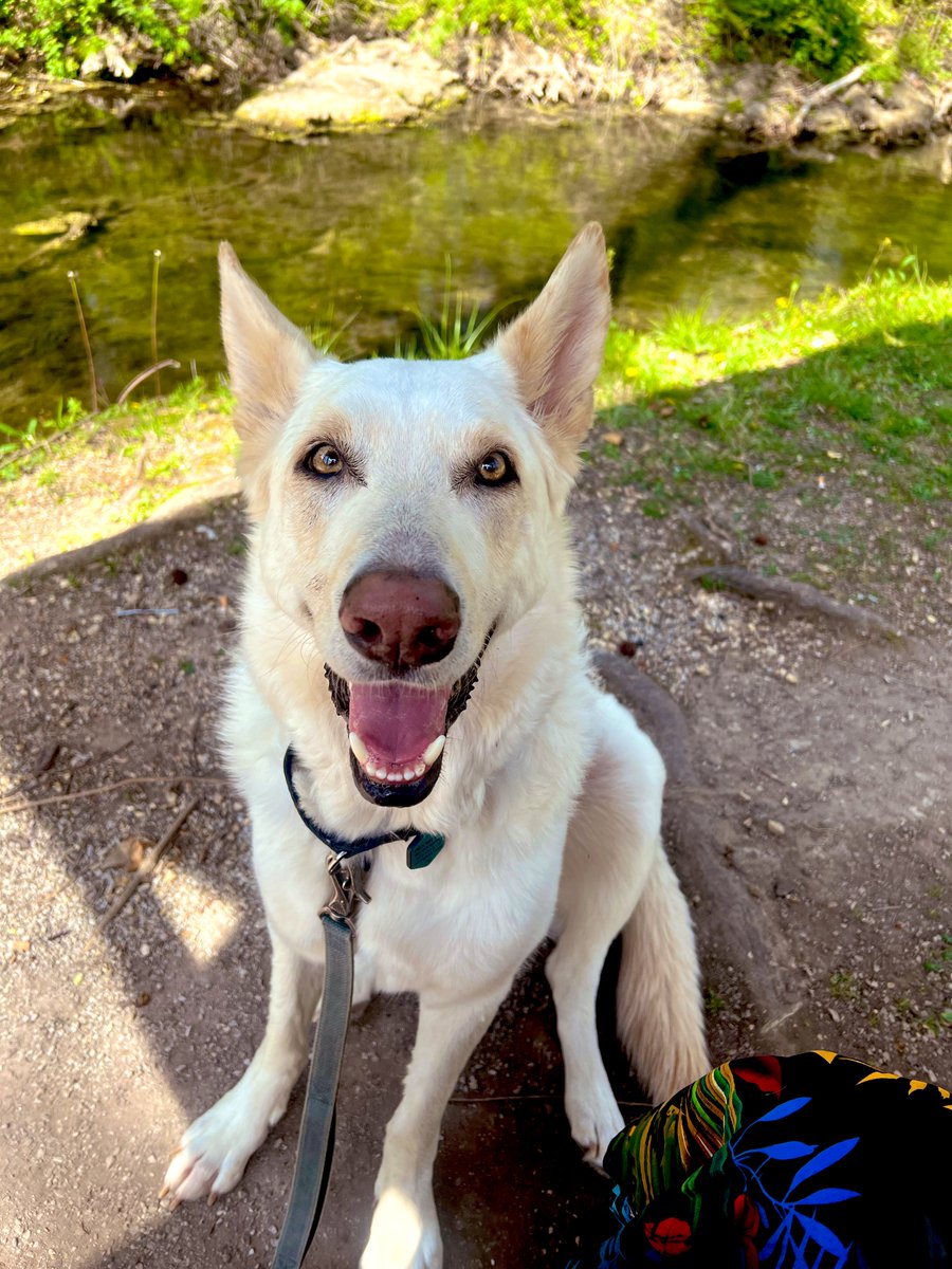 stinky cube tweet media