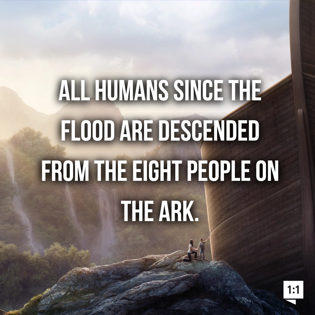 Not Evolution tweet media