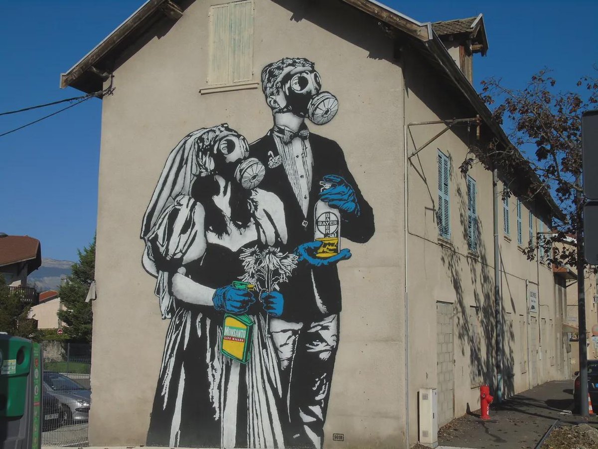 Image.in tweet media