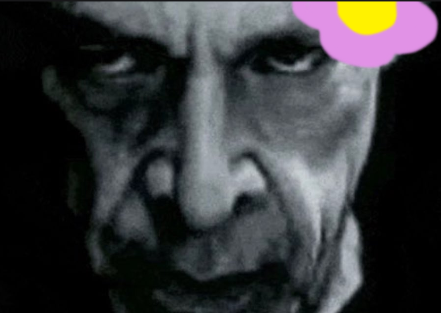 Tortieza 🌸🌸🌸 tweet media