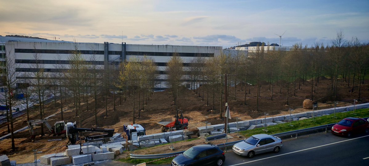 Ismael Strength tweet media