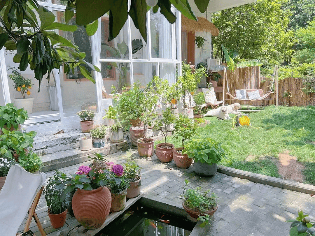 Opal Clocks tweet media