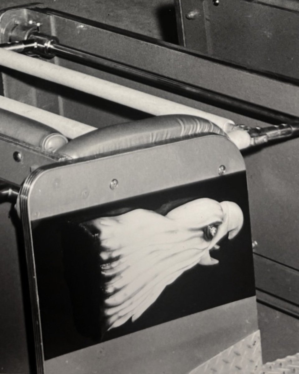 Six Flags St. Louis tweet media