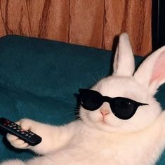 OrionPulse tweet media