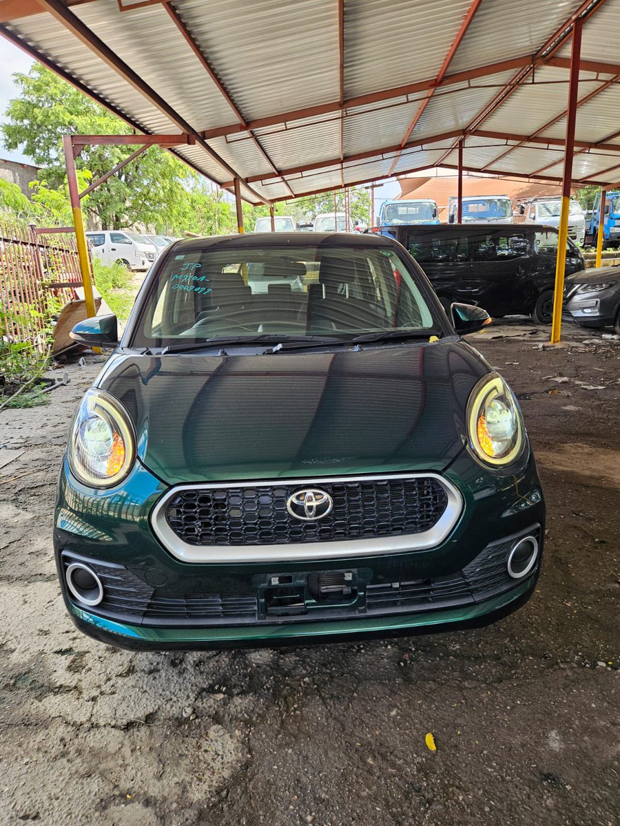 JENAMI ISAAC (CHIEF MTEKEDZA) tweet media