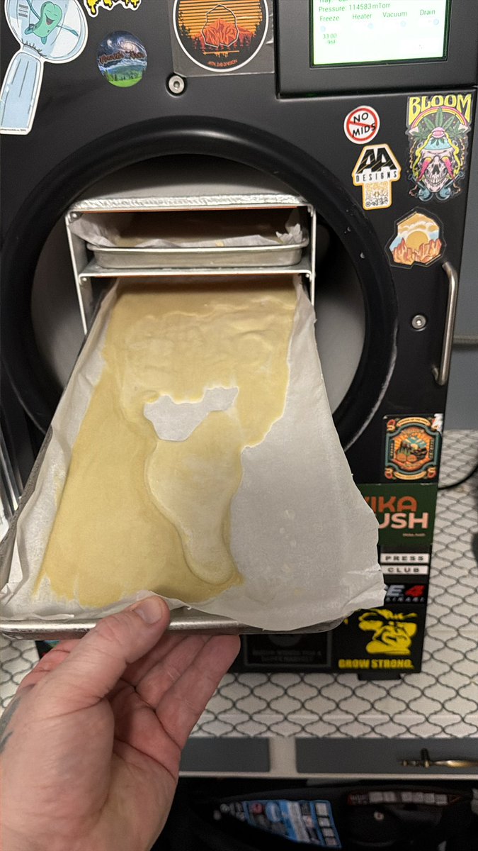 BeArDeDrOoTs tweet media