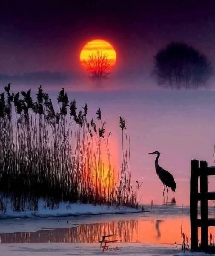 🌺🌼🌿🌼 Ǥ𝓻𝐚zɨa 🌼🌿🌼🌺 tweet media