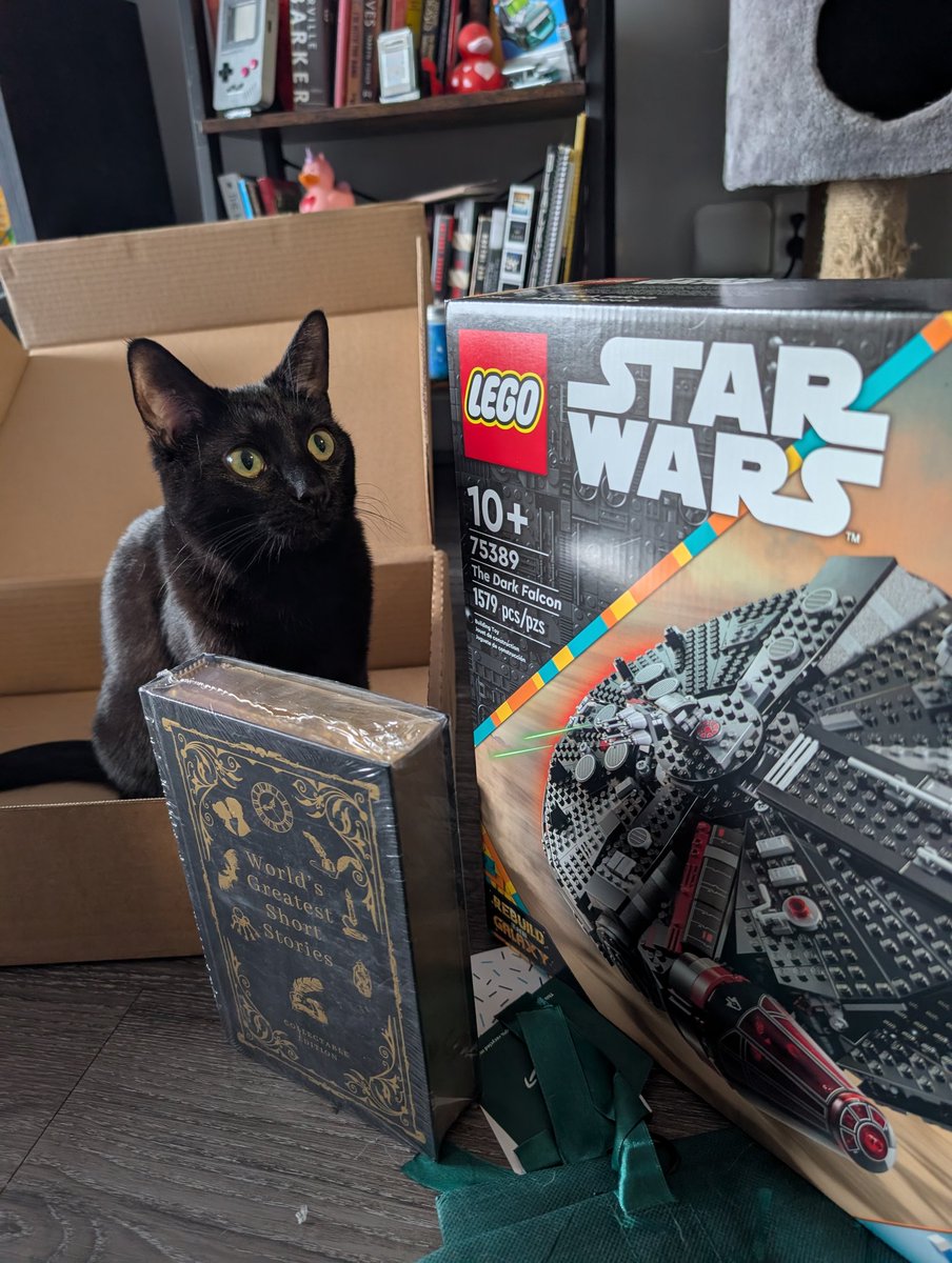 Lady Orchid tweet media