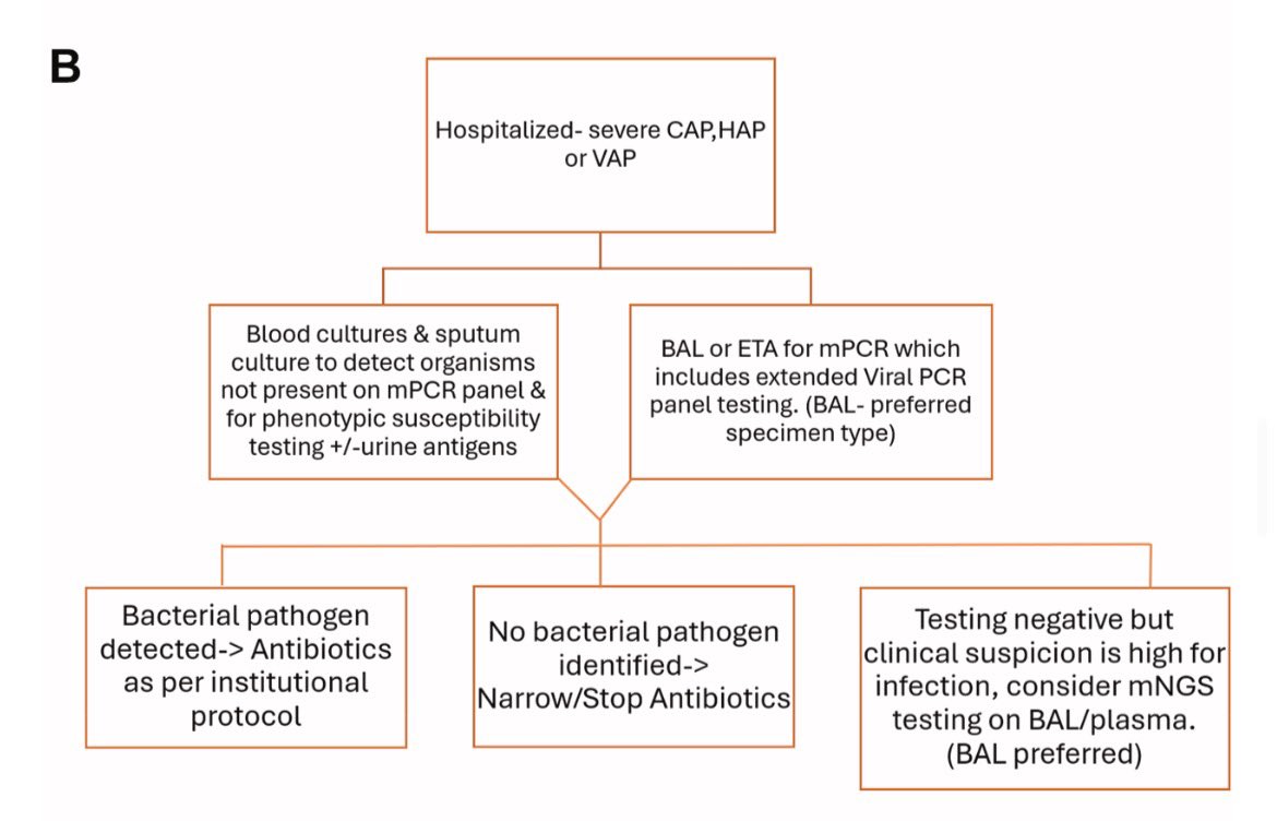 AliSMV7's tweet photo. Diagnostic Testing in Patients with a Clinical Diafnosis of Pneumonia 

 https://t.co/pca5QhDQmN https://t.co/VQmPYPzgW3
