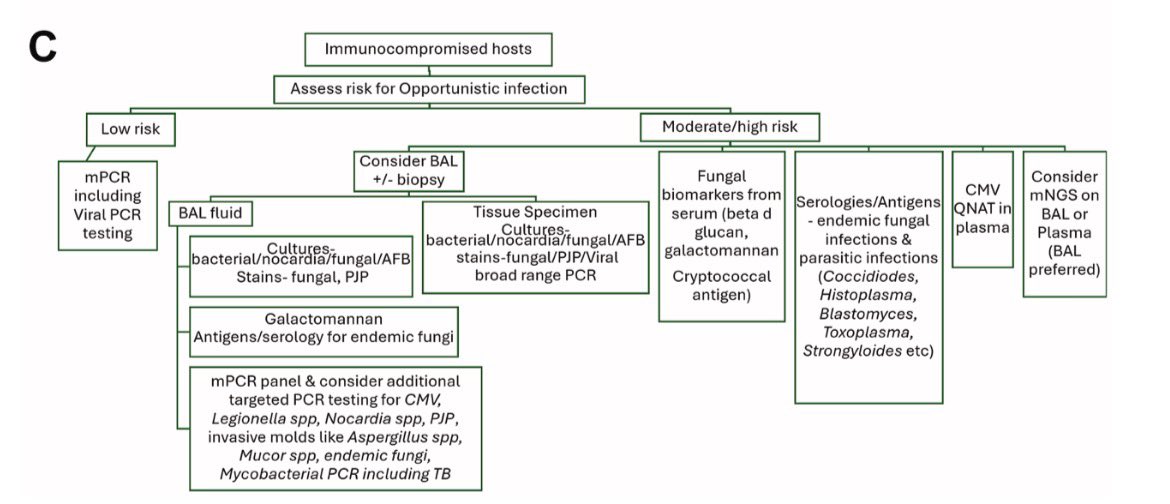AliSMV7's tweet photo. Diagnostic Testing in Patients with a Clinical Diafnosis of Pneumonia 

 https://t.co/pca5QhDQmN https://t.co/VQmPYPzgW3