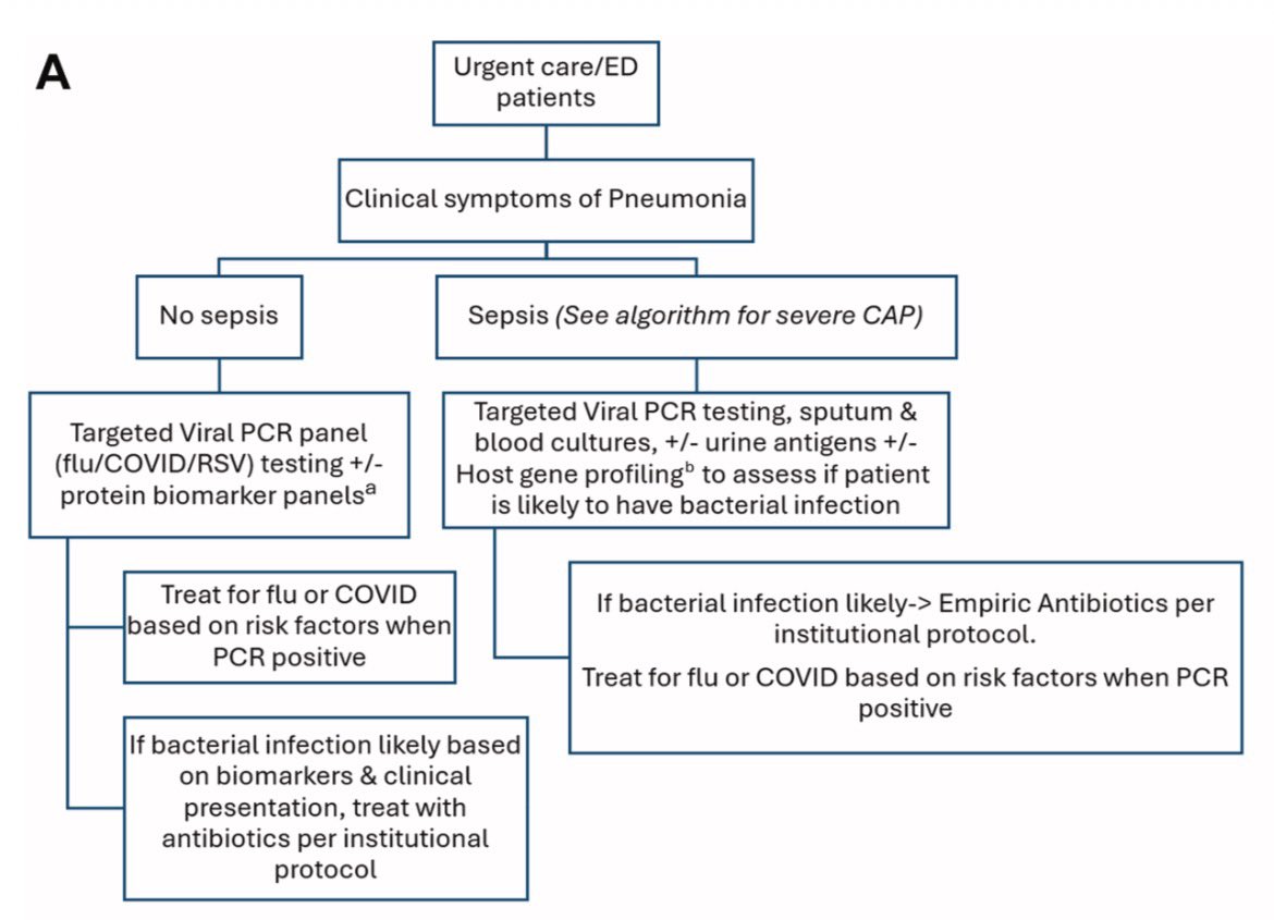 AliSMV7's tweet photo. Diagnostic Testing in Patients with a Clinical Diafnosis of Pneumonia 

 https://t.co/pca5QhDQmN https://t.co/VQmPYPzgW3