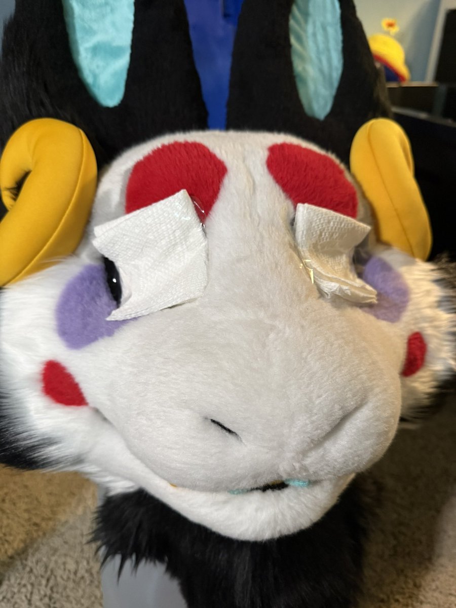 I am home! Giving the lad eye surgery (a deep clean)