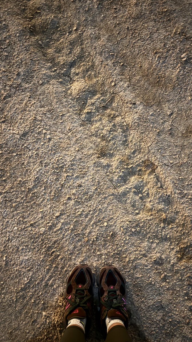 سارة بقنة tweet media