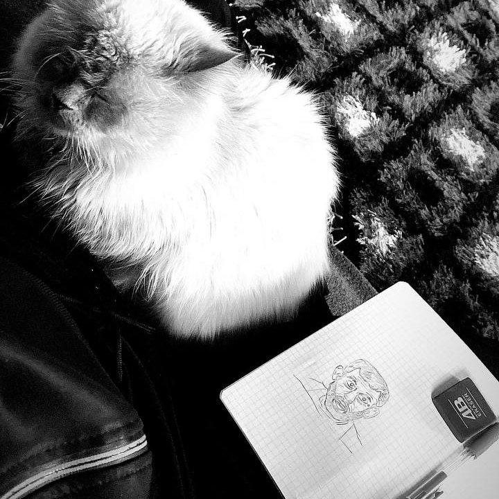 #SaveSheikhJarrah 🇵🇸🔻Refugees welcome 🖤 tweet media