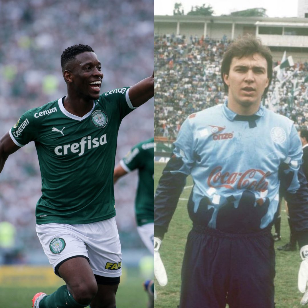 verdizante tweet media