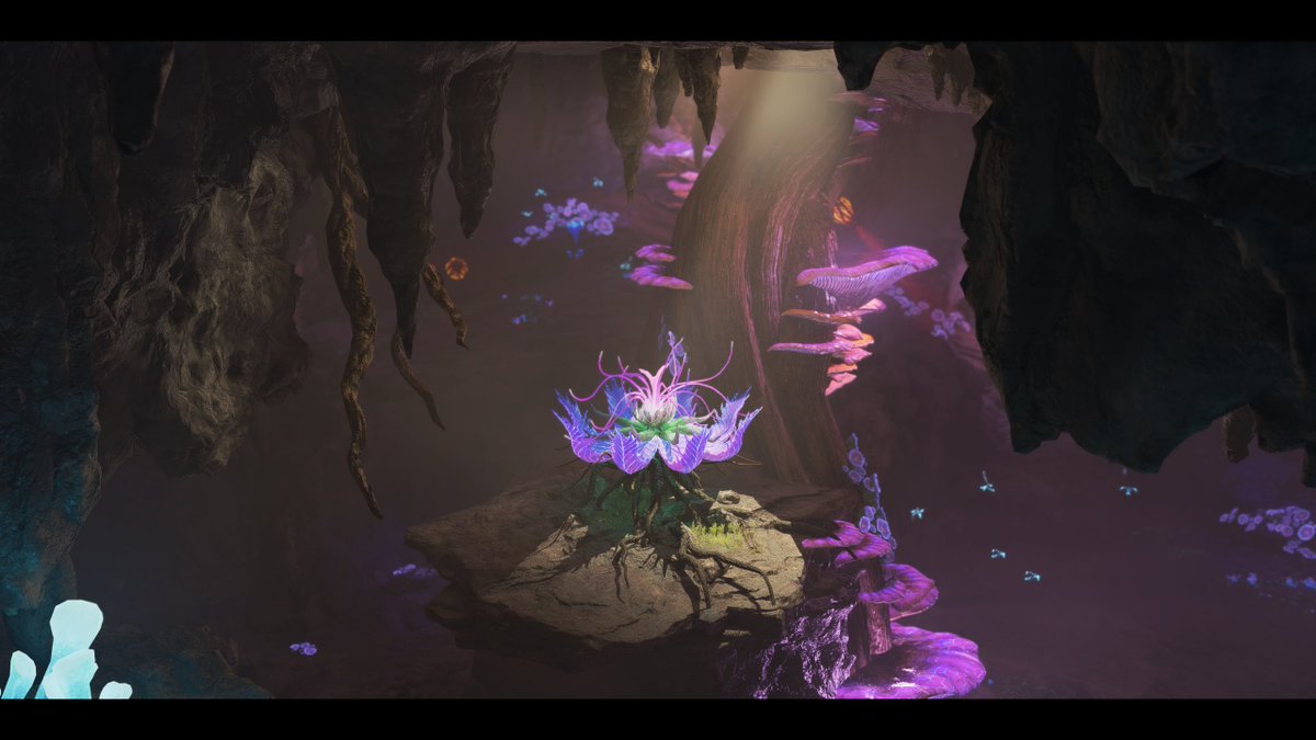 synaktis's tweet image. Tarsyu Sapling~

#VPWorld #VPSat #VGPUnite #VPCONTEXT #VirtualPhotography #VP #PhotoMode #AvatarFrontiers #Avatar #AvatarFrontiersofPandora
@UbiMassive @AvatarFrontiers