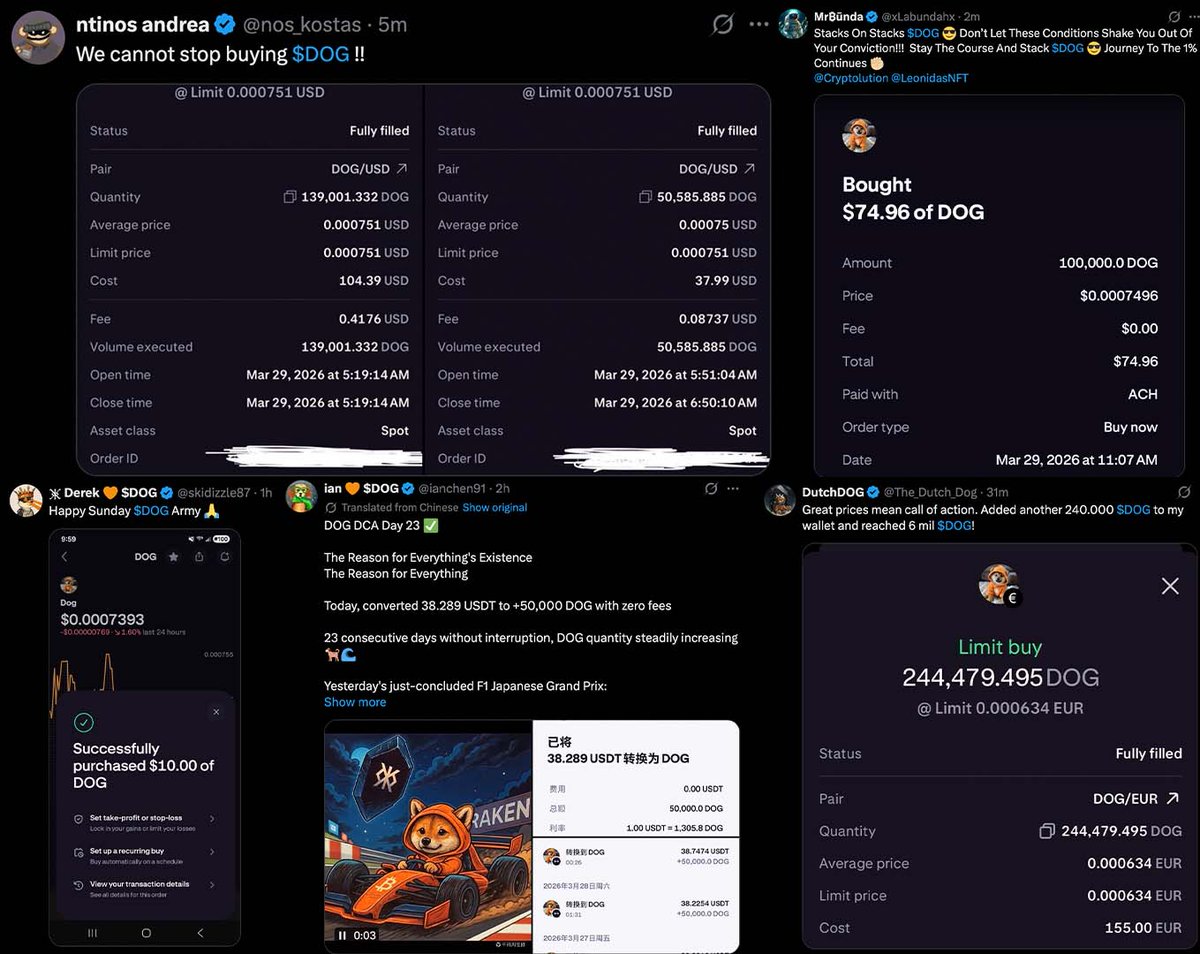 Vincent (Cryptolution) 👑 tweet media