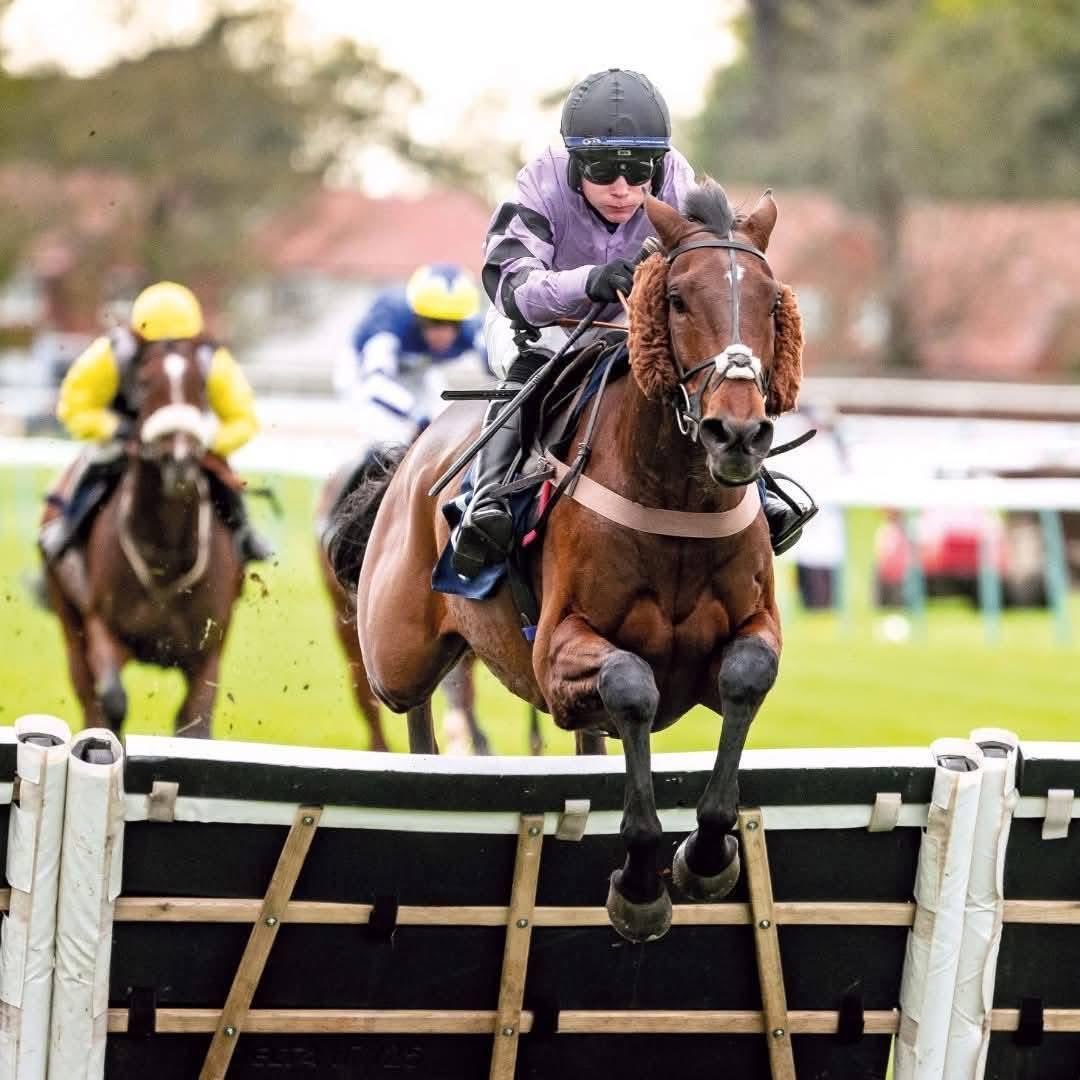 Paul Nicholls OBE tweet media