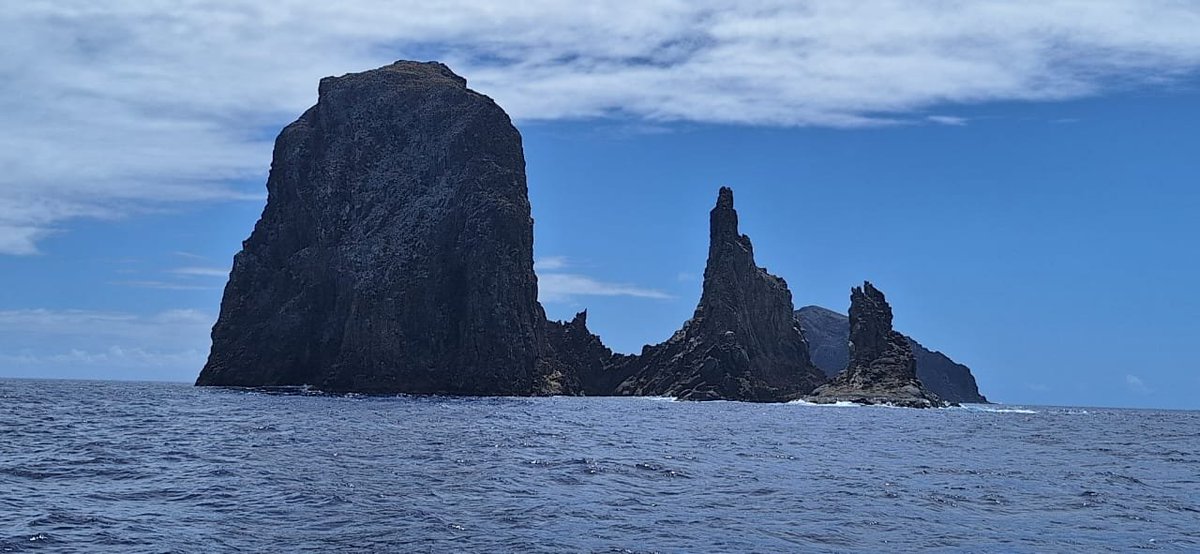 Cogita Tuti 🐊 tweet media