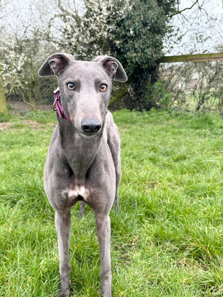 Billy Dunne tweet media