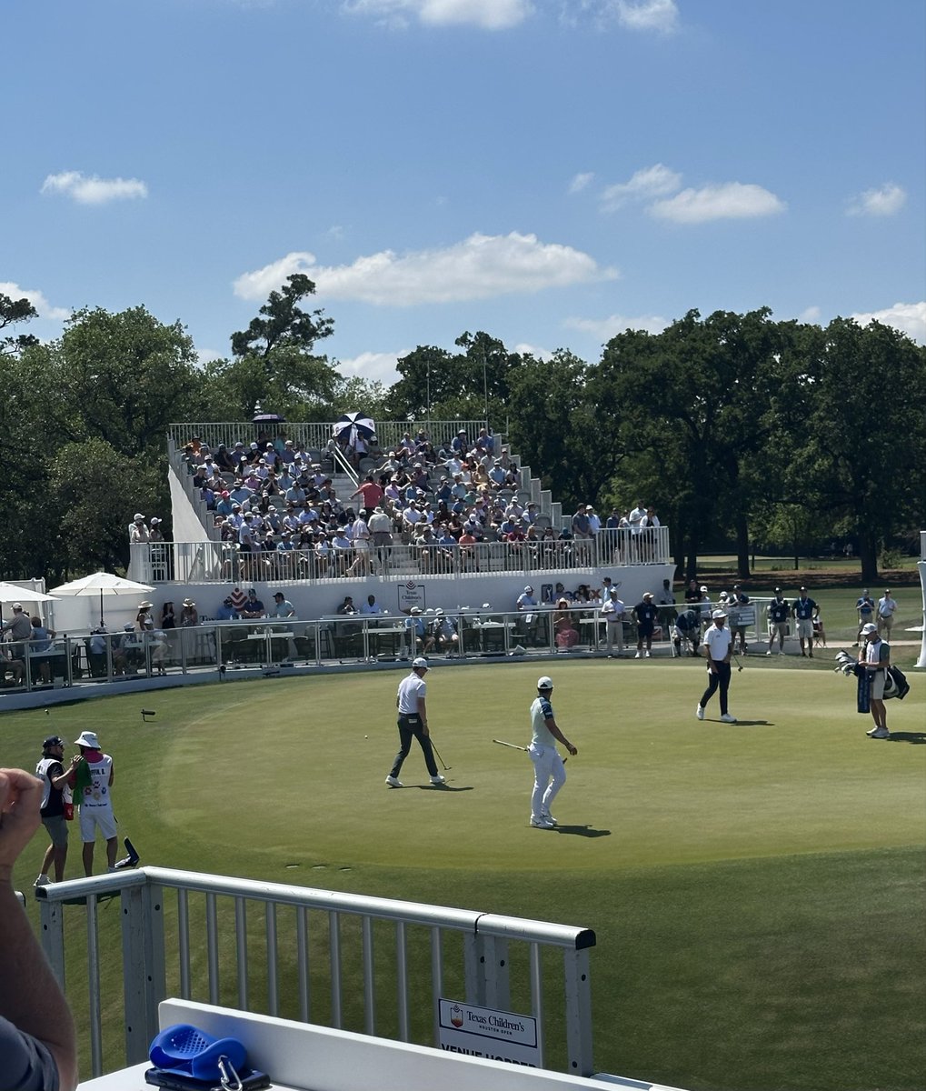 jogging koala tweet media