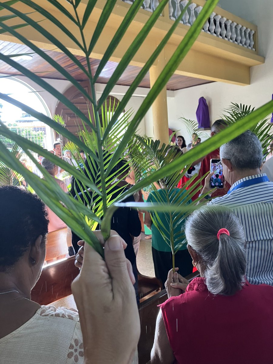 Jannine L’Amour ♥️🇧🇷🇵🇸🇻🇦 tweet media