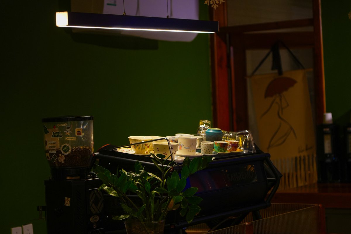 Tariq 📸 tweet media