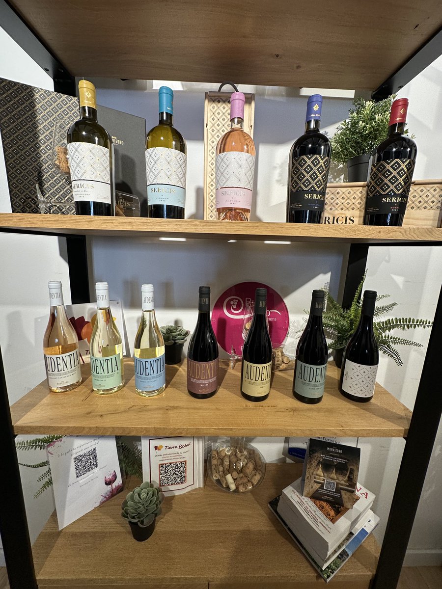 abreunvinito's tweet photo. Visita y cata de @bodegasmurviedro en #doutielrequena y sus cuevas Buenos vinos para disfrutar @pacolonso @CulturaAlmuerzo @esmorzador @cacauencorfa @vinglada @dilgogi @vinoWineEs @FMazRa @xavisunsi @JavierVinyuelas @jopesilver @sasbnd @JesusDeBarqueta Pronto + datos en @verema https://t.co/4y7J73RWnI