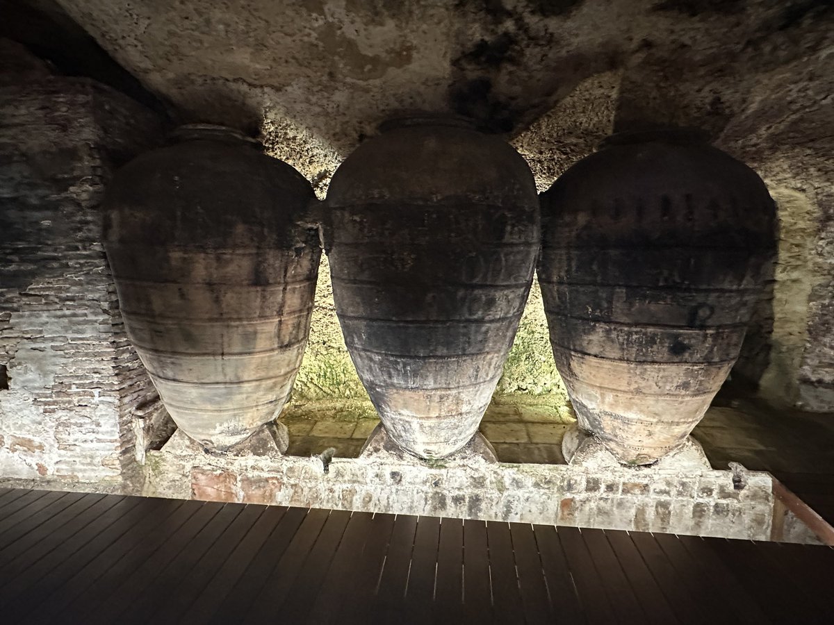 abreunvinito's tweet photo. Visita y cata de @bodegasmurviedro en #doutielrequena y sus cuevas Buenos vinos para disfrutar @pacolonso @CulturaAlmuerzo @esmorzador @cacauencorfa @vinglada @dilgogi @vinoWineEs @FMazRa @xavisunsi @JavierVinyuelas @jopesilver @sasbnd @JesusDeBarqueta Pronto + datos en @verema https://t.co/4y7J73RWnI