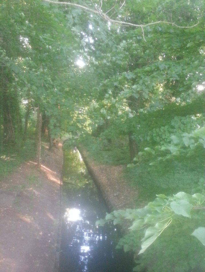 André Schneider tweet media