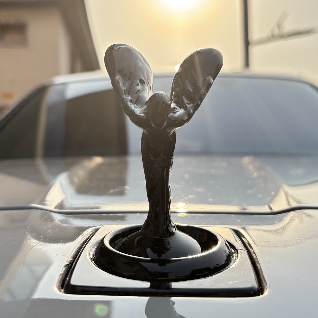 Jimi Animashaun tweet media