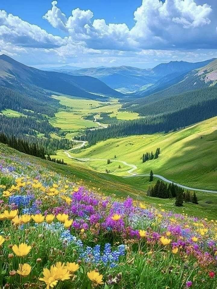 Nature's Embrace tweet media