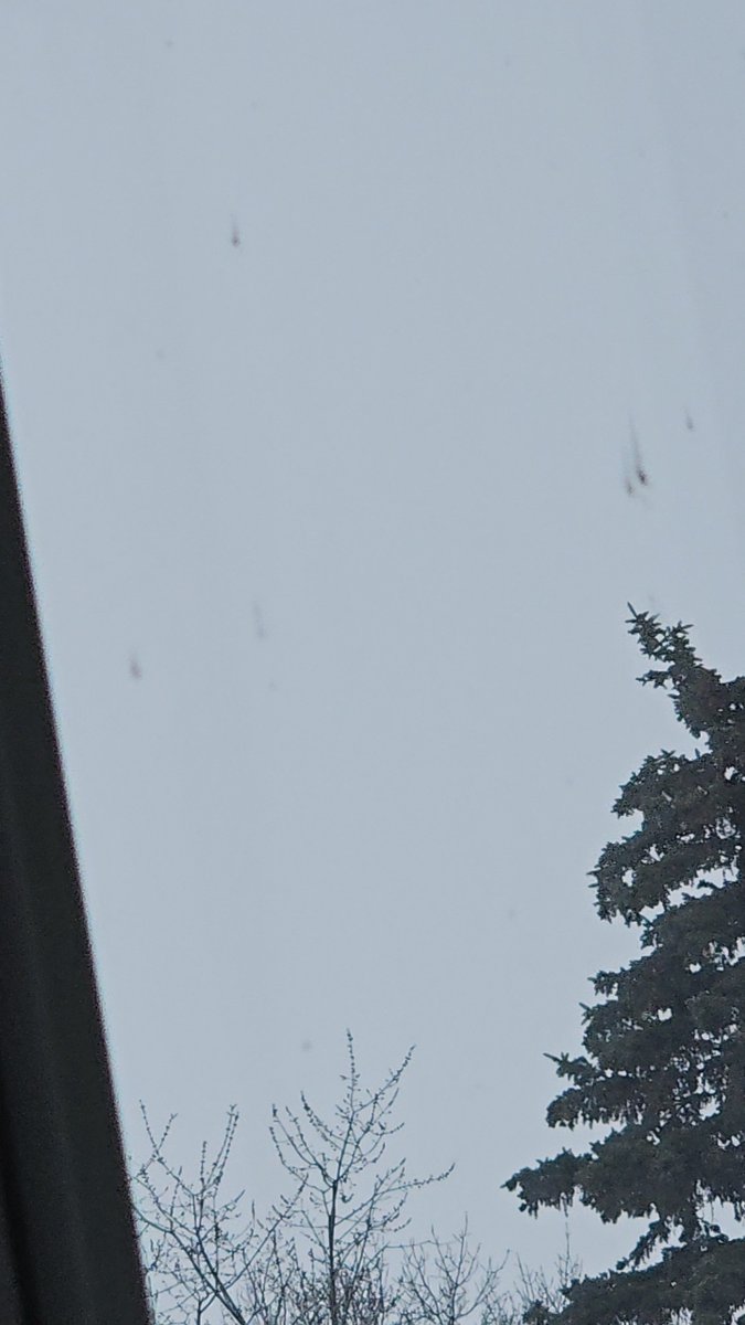 𝕿𝖗𝖚𝖊𝕾𝖆𝖝𝖔𝖓ᛠ tweet media