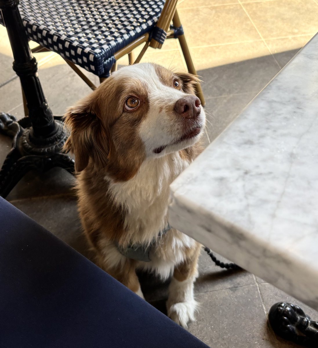 Liang 🇹🇼 tweet media