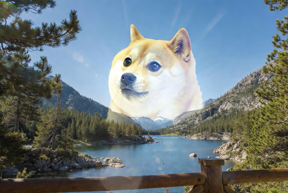 Renzotti tweet media