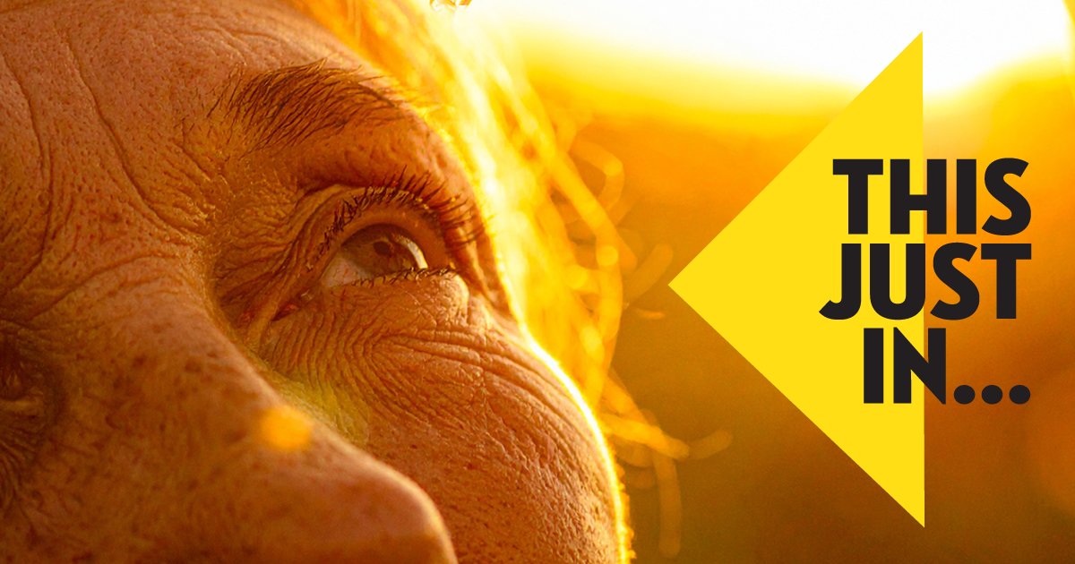 GlaucomaCME's tweet photo. "Preservative-Free Glaucoma Strategies for Better Ocular Surface Health" is now available on GlaucomaCME! 

Complete this activity and claim your #CME or #COPE credit now: https://t.co/VFEej73bmP 

@northbayeye https://t.co/D8OFjumgMG