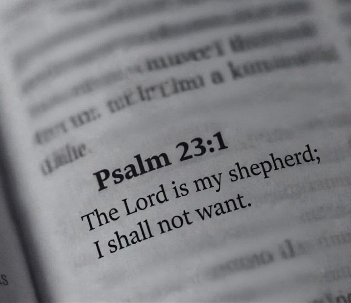 S✞ Russell🇿🇲 tweet media