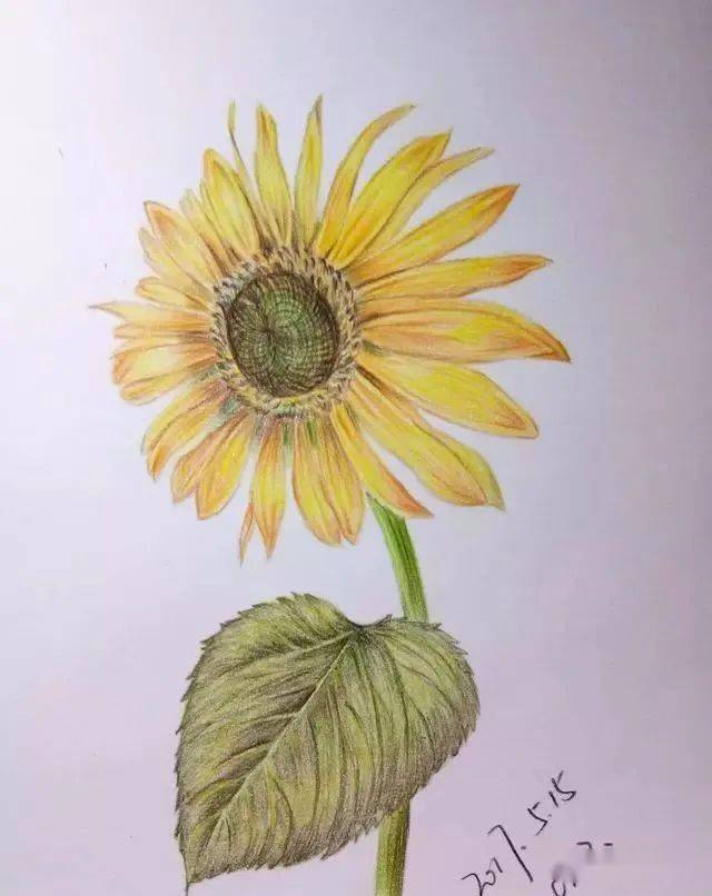 Parker Duncan tweet media