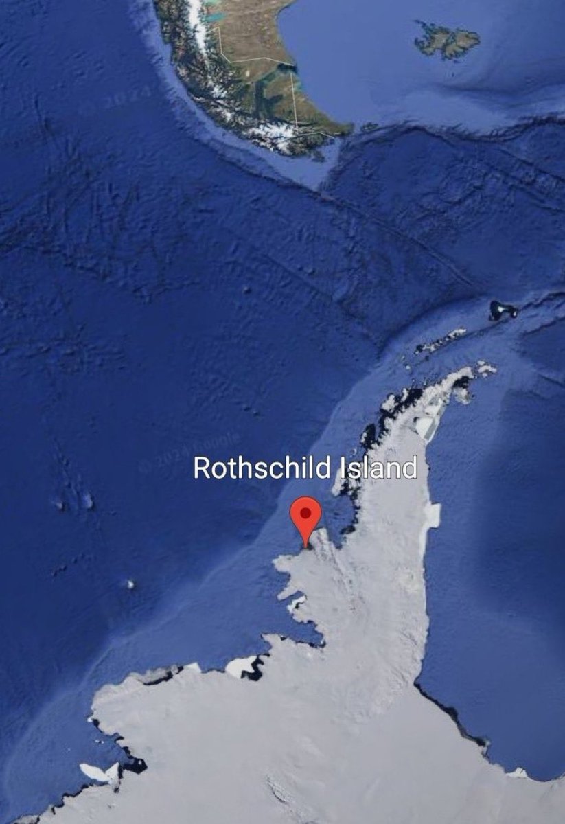 Elftown Community tweet media