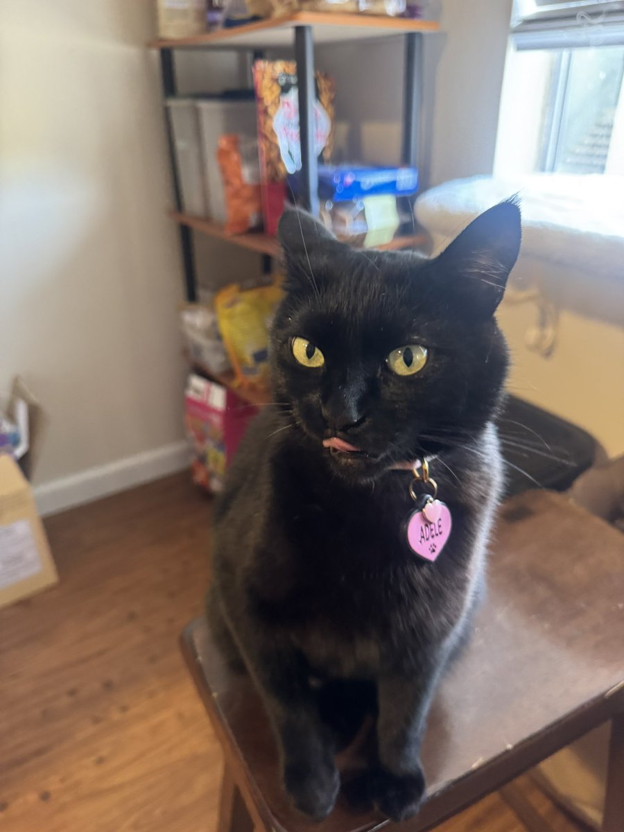 leo 🍉 tweet media