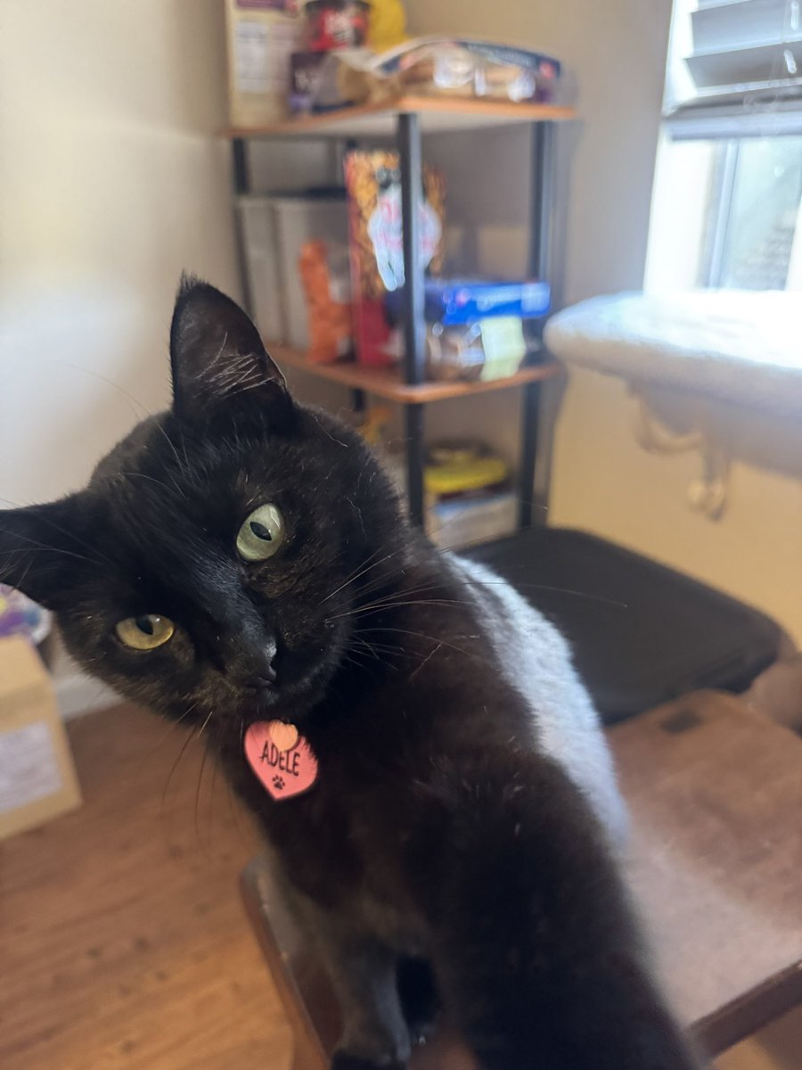 leo 🍉 tweet media