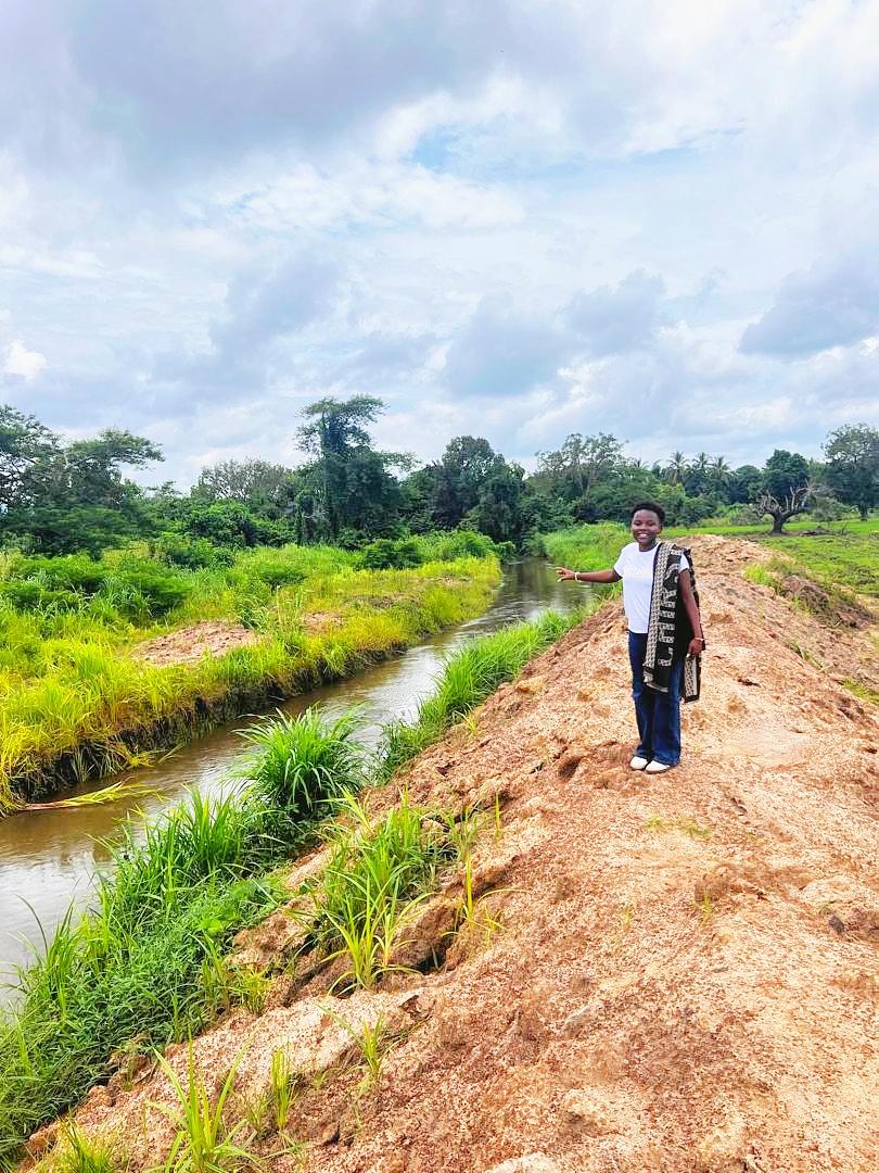 greenforfuturetanzania tweet media