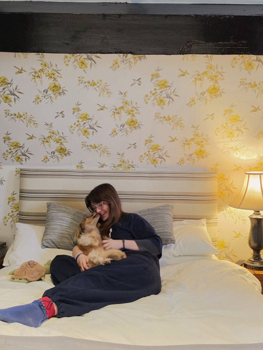 poopernoodle tweet media