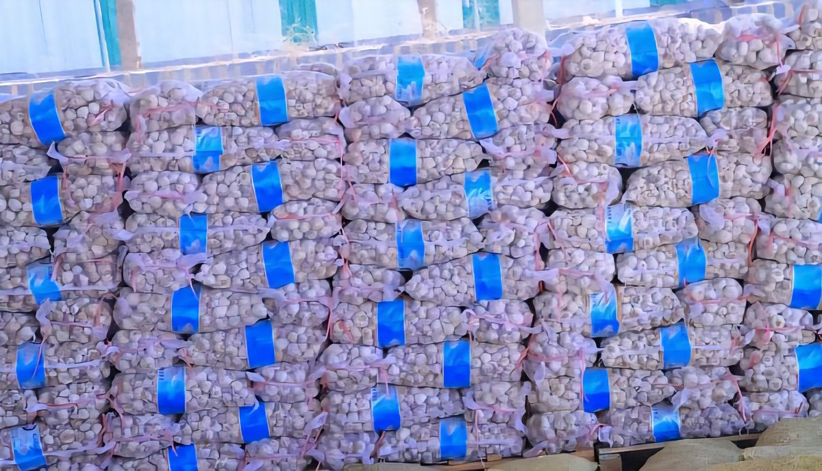 الجبهة الاقتصادية اليمنية tweet media