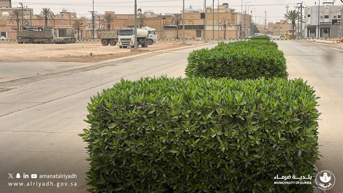 بلدية ضرماء tweet media