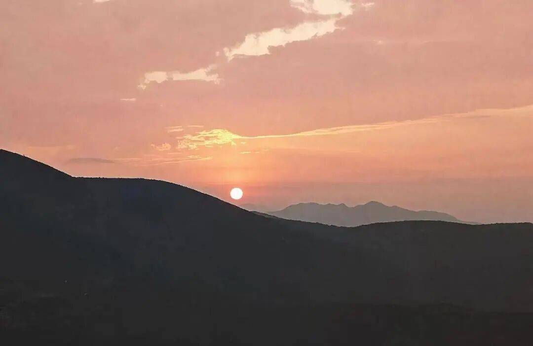 andrea pappalardo tweet media