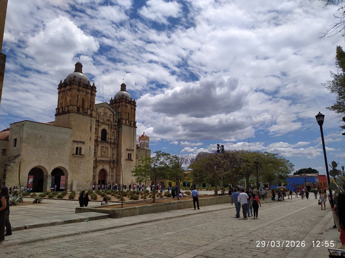 Cornudo feliz ☺️ tweet media